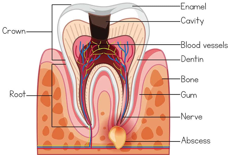 Dr. Arthur A. Kezian DDS