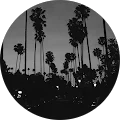 Cole Peterson Avatar