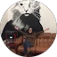 Lisa Meredith Avatar